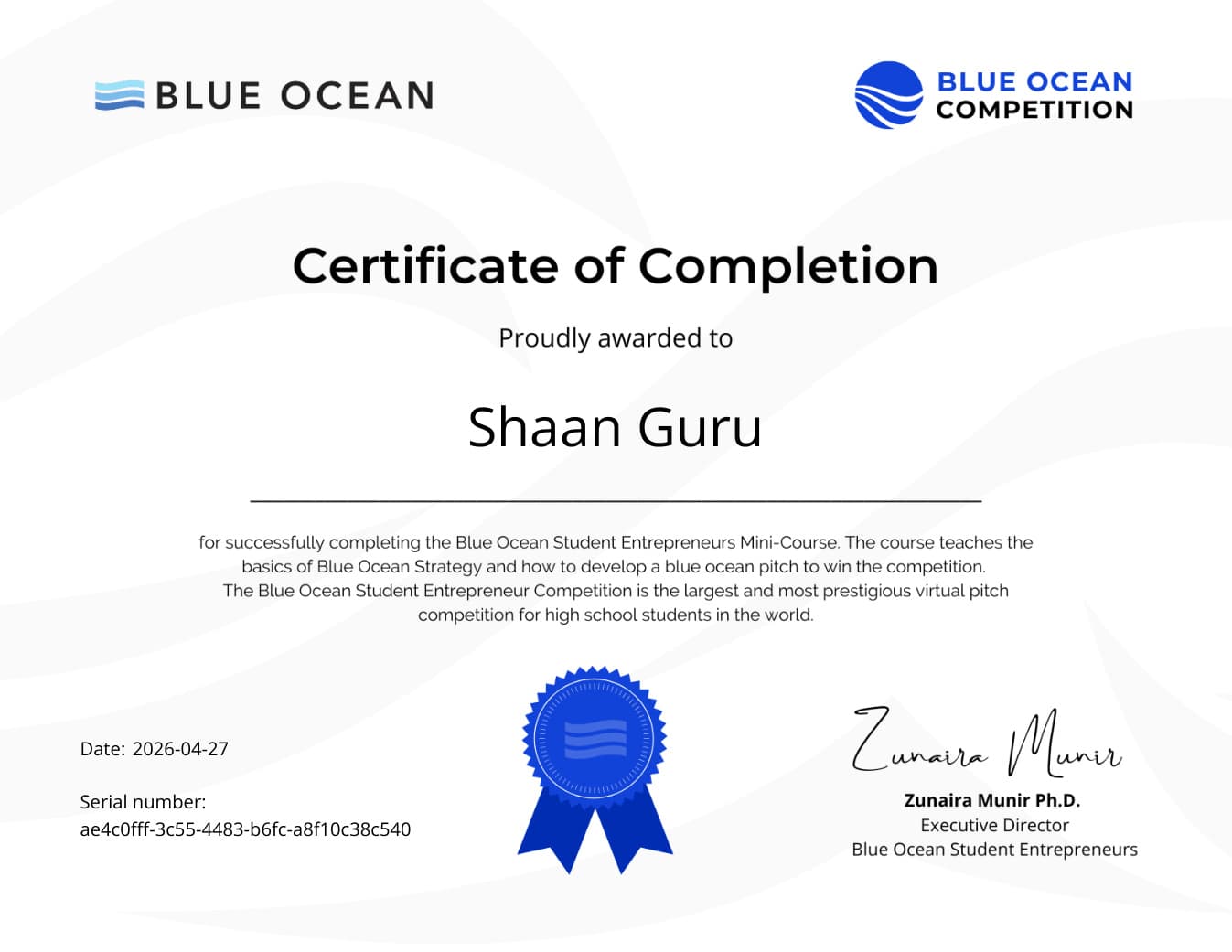 Blue Ocean Student Entrepreneurs Mini-Course